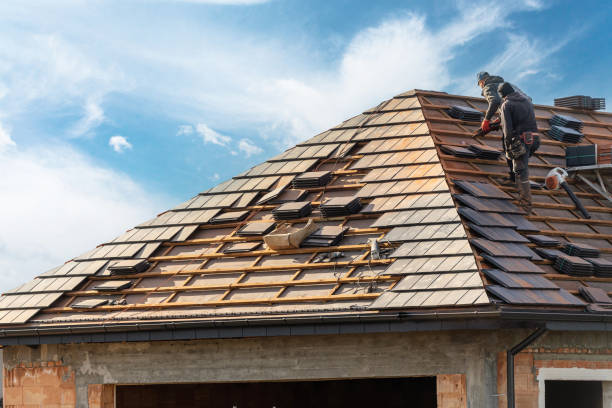 Best Roof Insulation Installation  in Anderson Creek, NC