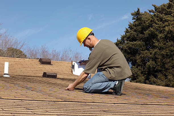 Best Roof Moss and Algae Removal  in Anderson Creek, NC